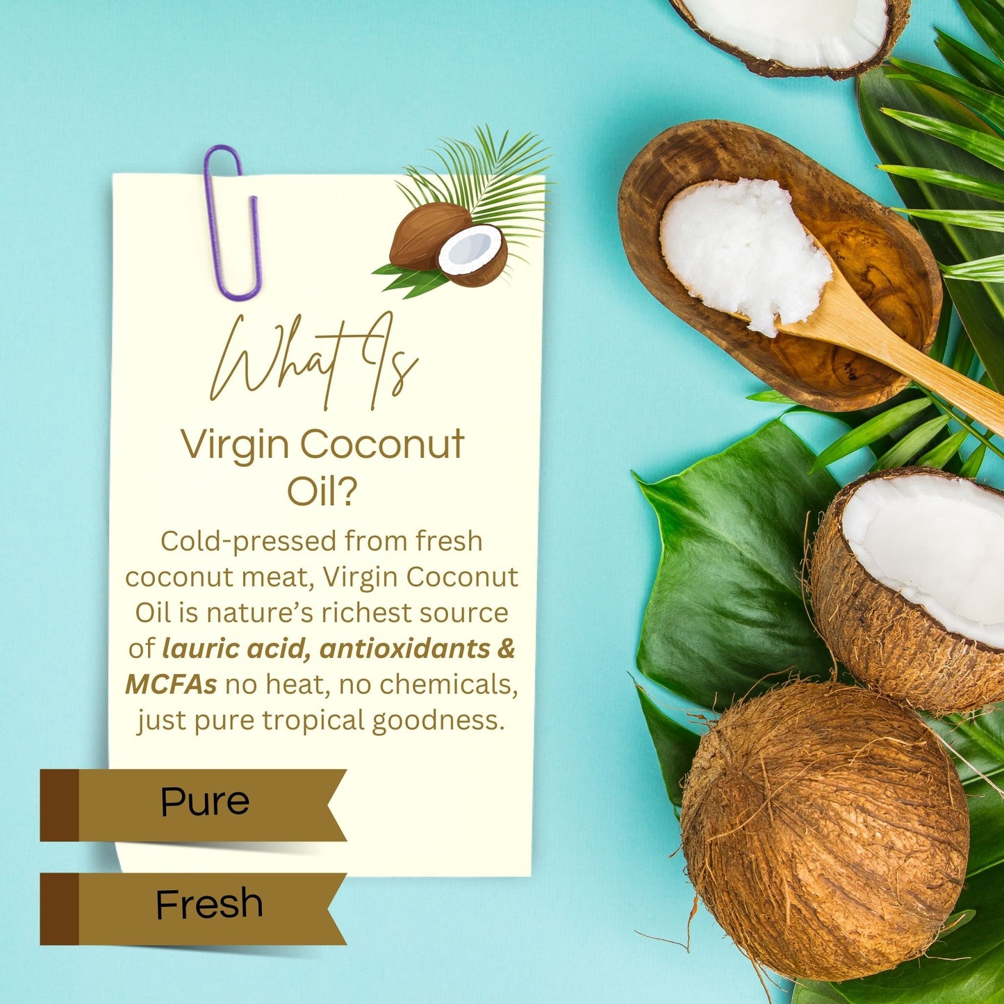 Pure Virgin Coconut Oil (Cold-Pressed) Exp: 29/09/26