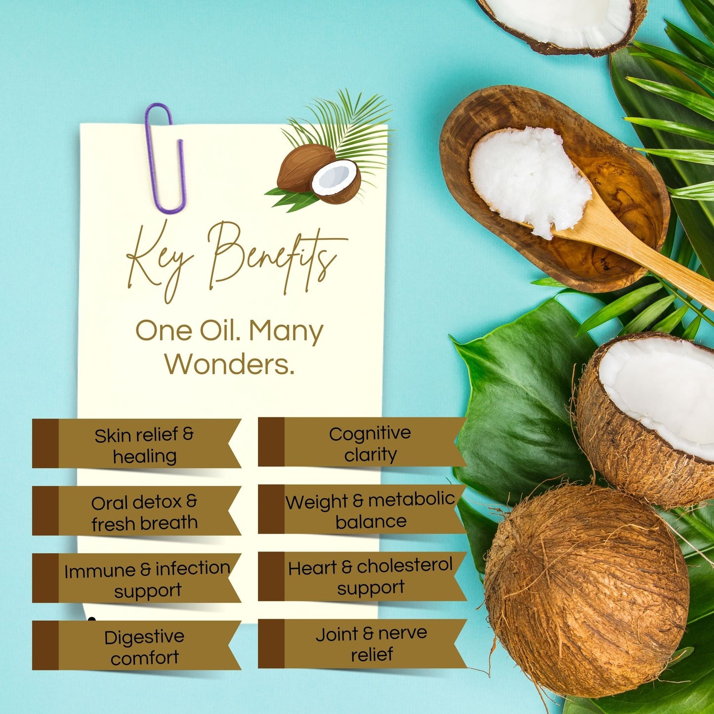 Pure Virgin Coconut Oil (Cold-Pressed) Exp: 29/09/26