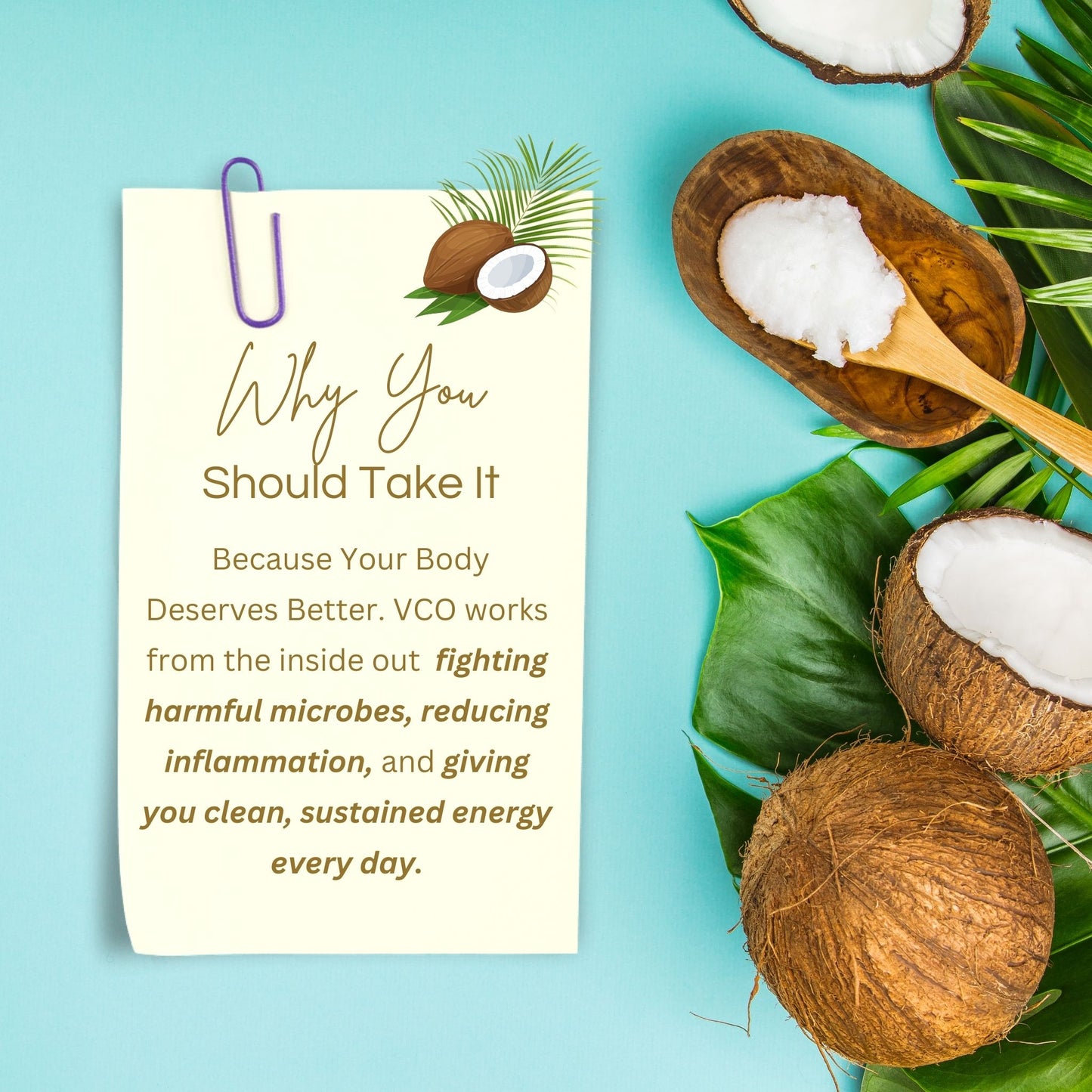 Pure Virgin Coconut Oil (Cold-Pressed) Exp: 29/09/26