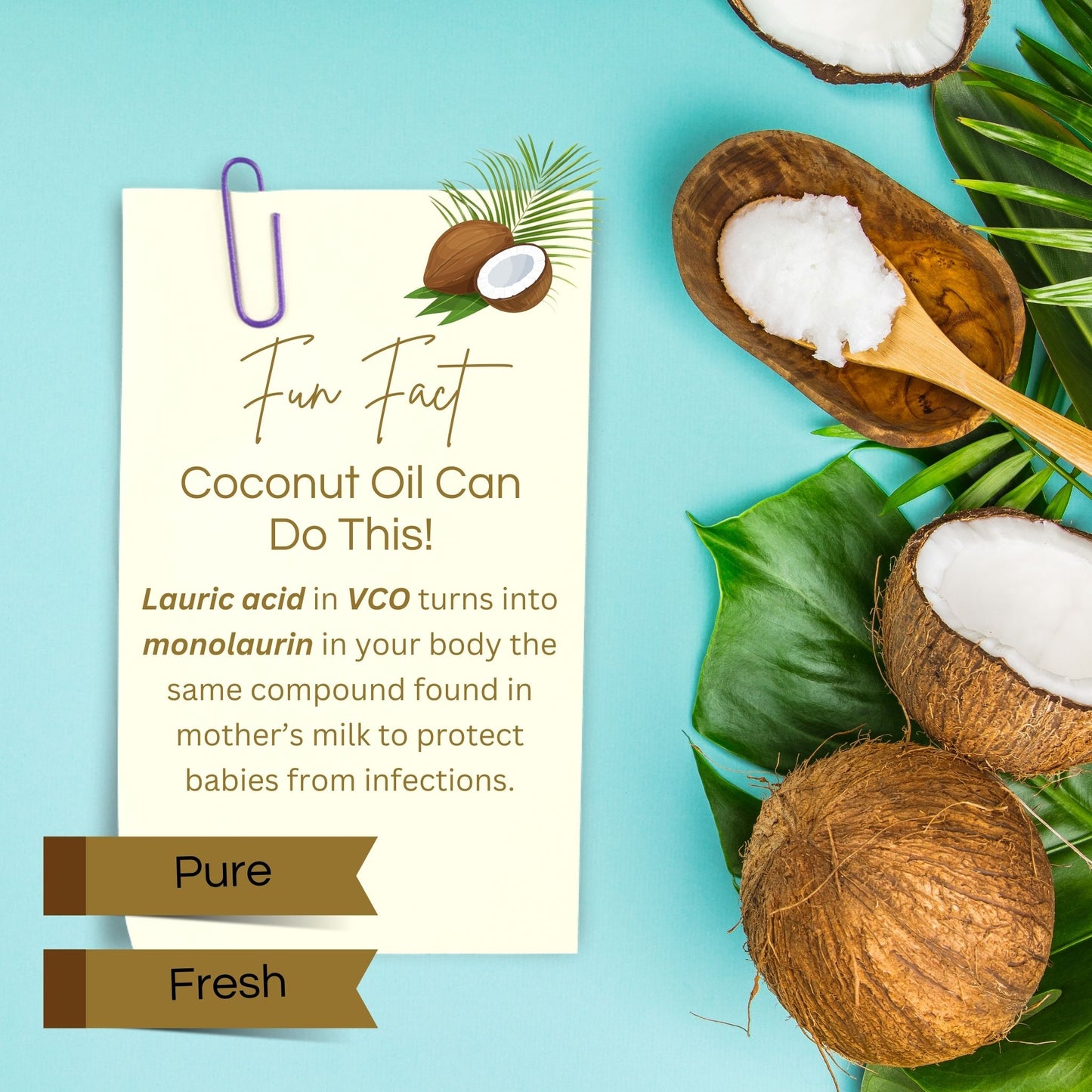 Pure Virgin Coconut Oil (Cold-Pressed) Exp: 29/09/26