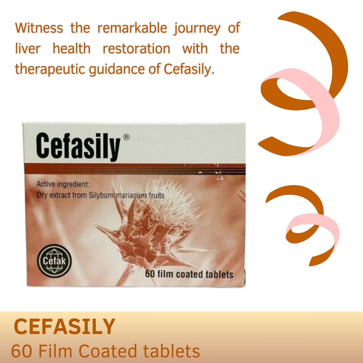 Cefasily film coated tablets ( 60's ) Silybum Marianum Fruits