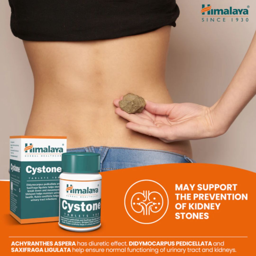 Himalaya Cystone  Kidney Stone Support Urinary Health Uric Acid Care Exp 07/2027 (30 tablet)
